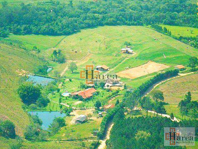 Fazenda à venda com 3 quartos, 4000m² - Foto 1