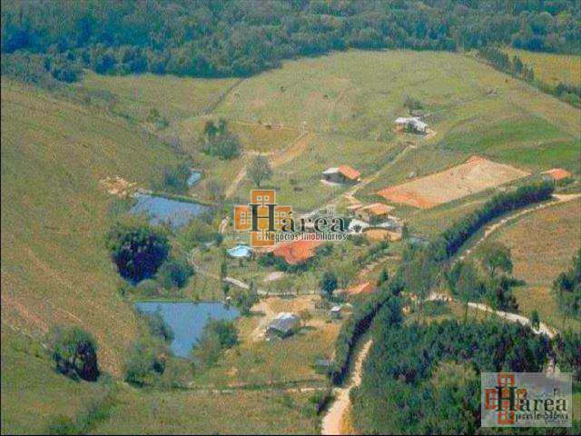 Fazenda à venda com 3 quartos, 4000m² - Foto 2