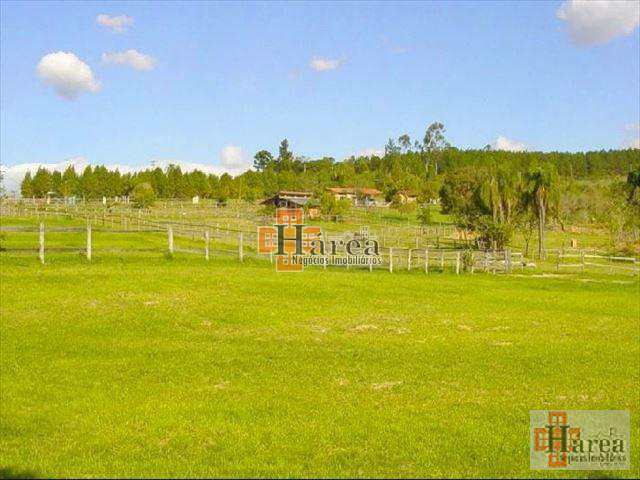 Fazenda à venda com 3 quartos, 4000m² - Foto 8