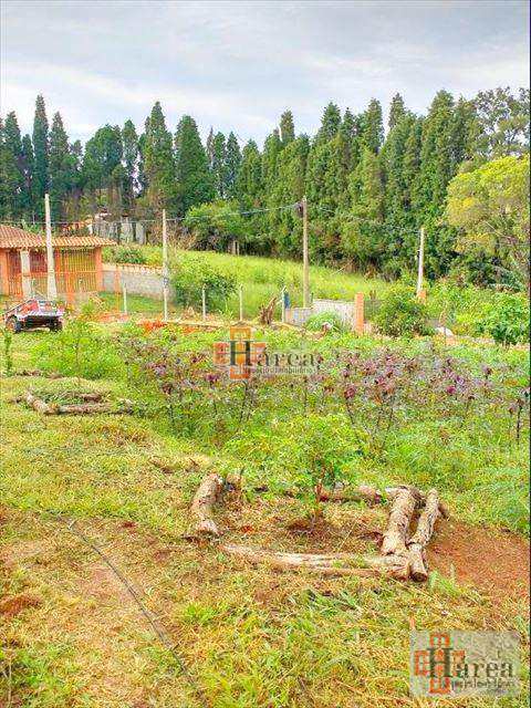 Fazenda à venda com 4 quartos - Foto 17