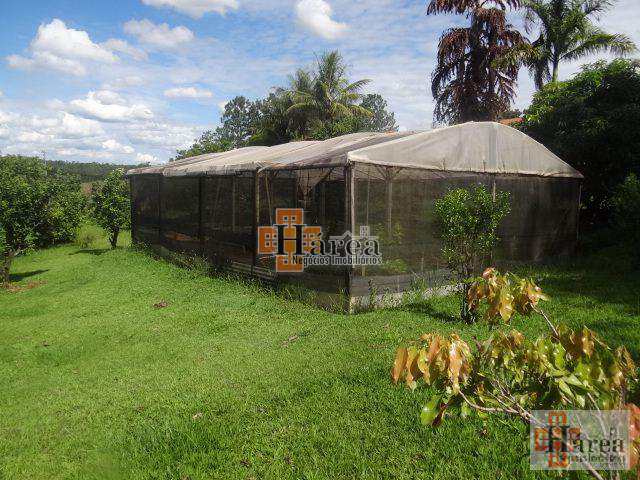 Fazenda à venda com 5 quartos, 2m² - Foto 5