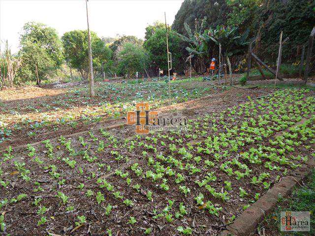 Fazenda à venda com 4 quartos, 5m² - Foto 10