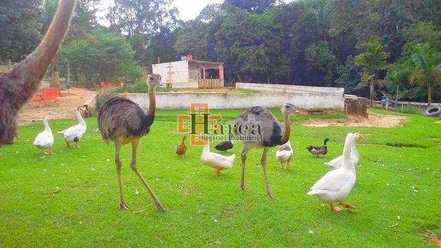 Fazenda à venda com 23 quartos, 15000m² - Foto 16