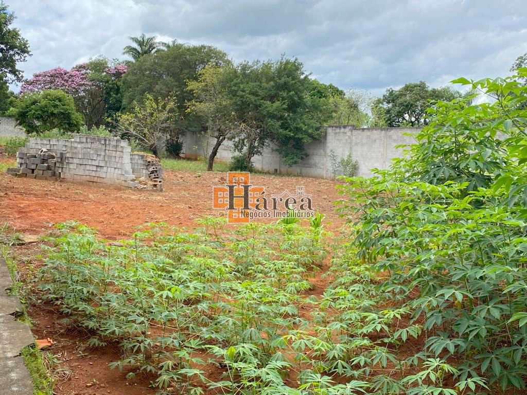 Fazenda à venda com 3 quartos, 500m² - Foto 6