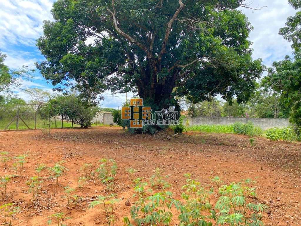 Fazenda à venda com 3 quartos, 500m² - Foto 9