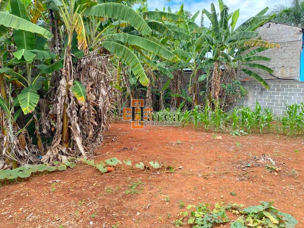 Fazenda à venda com 3 quartos, 500m² - Foto 10