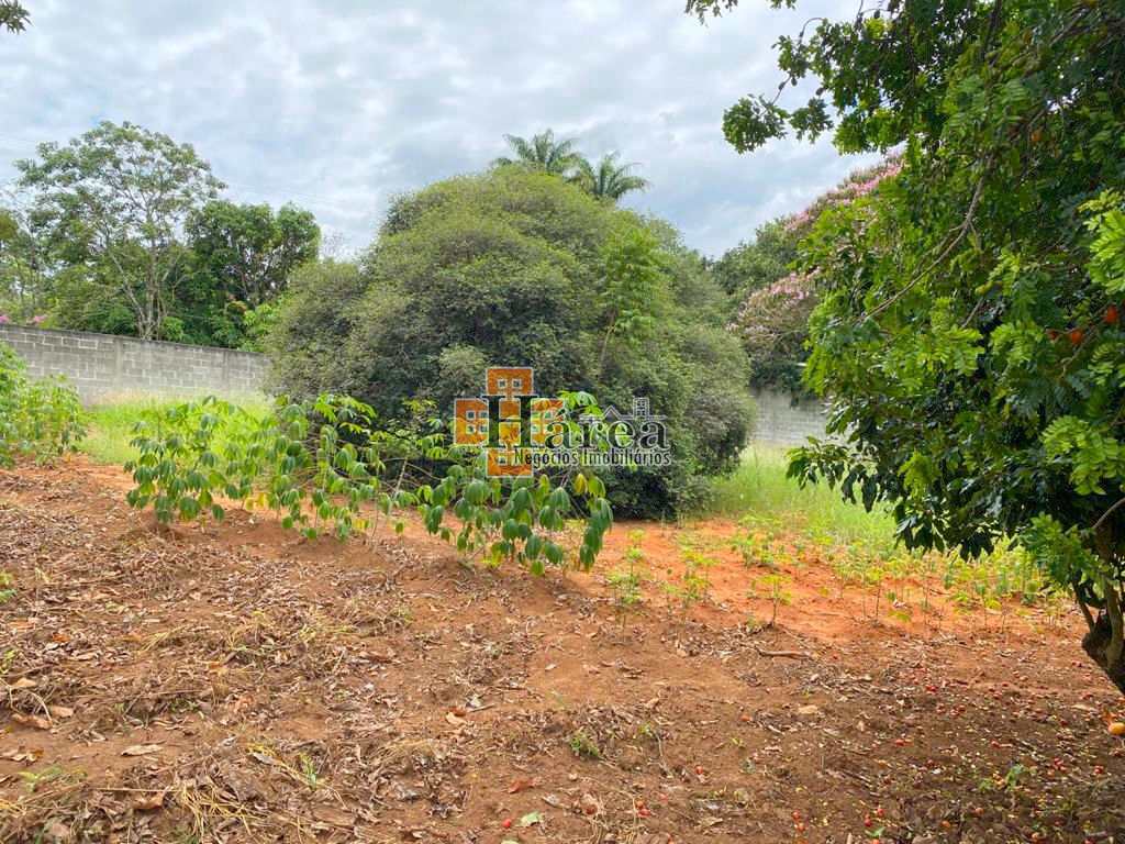 Fazenda à venda com 3 quartos, 500m² - Foto 7