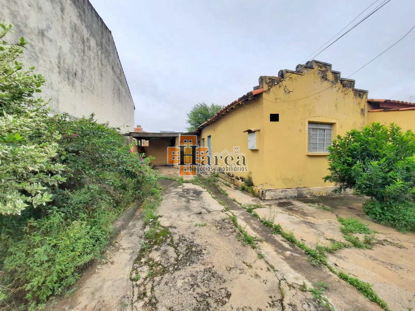 Terreno à venda, 260m² - Foto 4