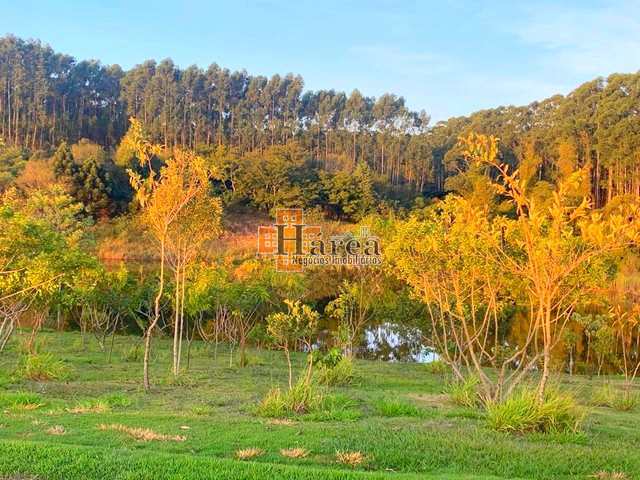 Terreno à venda, 1000m² - Foto 4