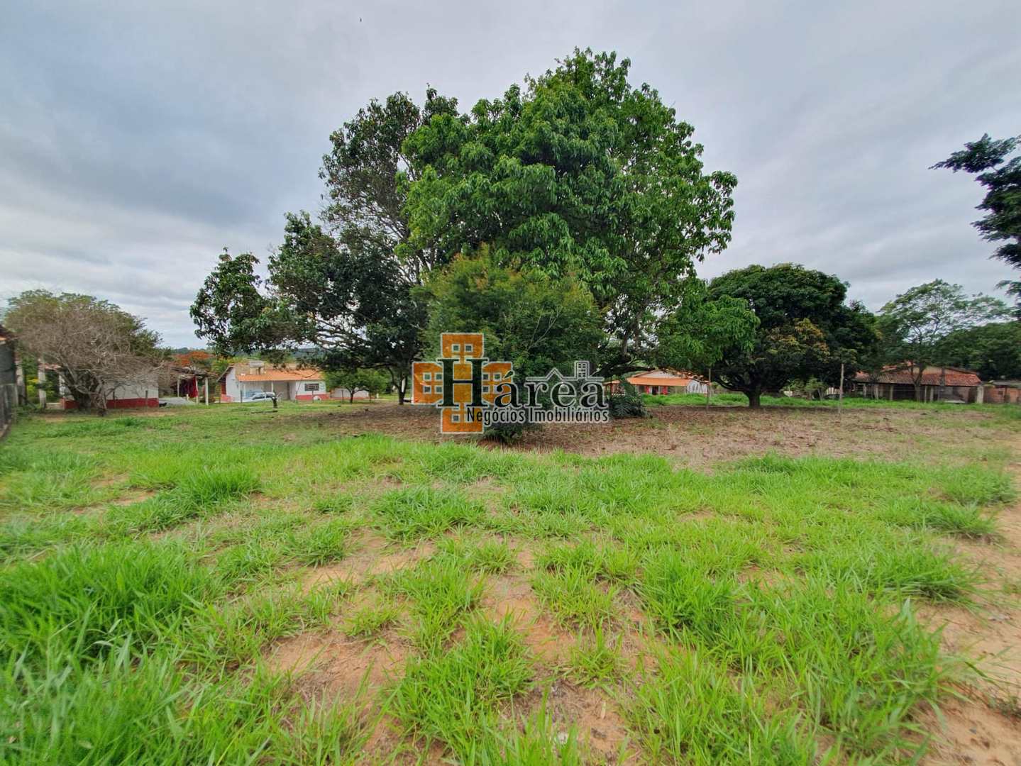 Fazenda à venda com 4 quartos, 179m² - Foto 6