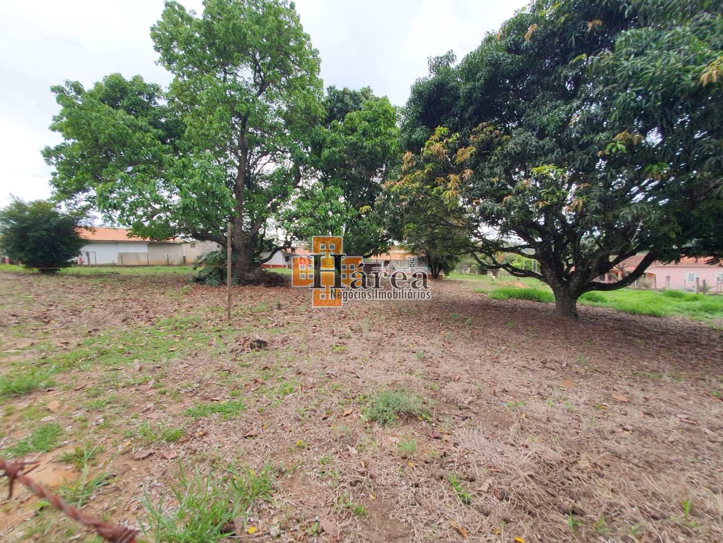 Fazenda à venda com 4 quartos, 179m² - Foto 5