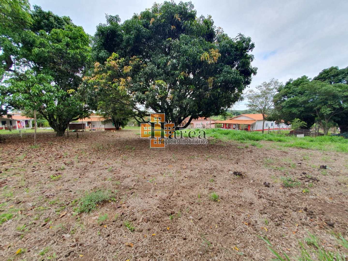 Fazenda à venda com 4 quartos, 179m² - Foto 4