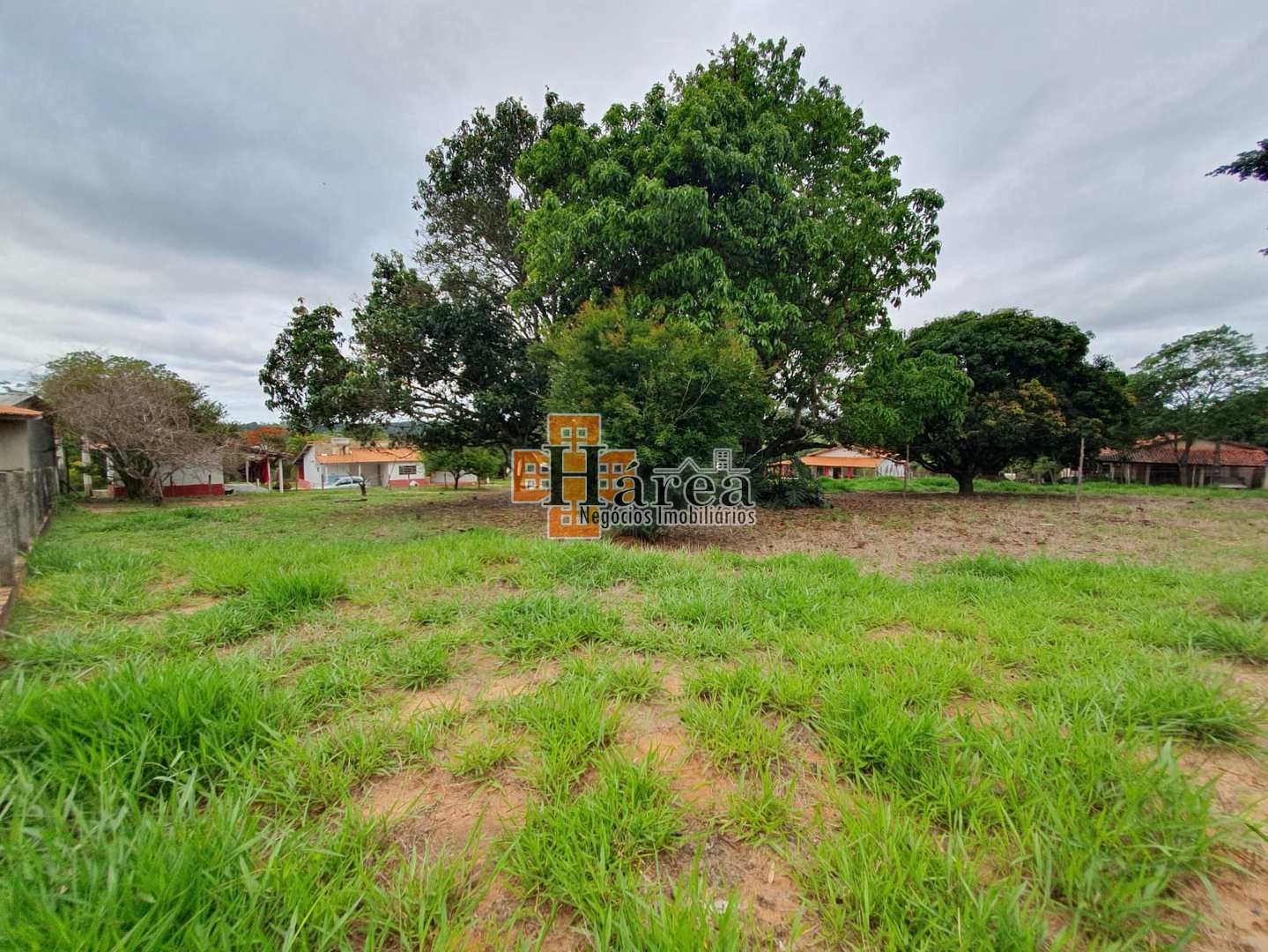 Fazenda à venda com 4 quartos, 179m² - Foto 7