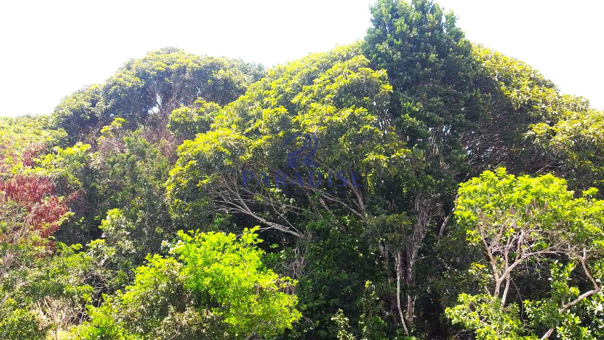 Terreno, Açu da Torre, Mata de São João - R$ 199 mil, Cod: 68494