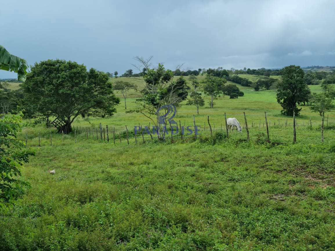 Fazenda à venda, 800000m² - Foto 18