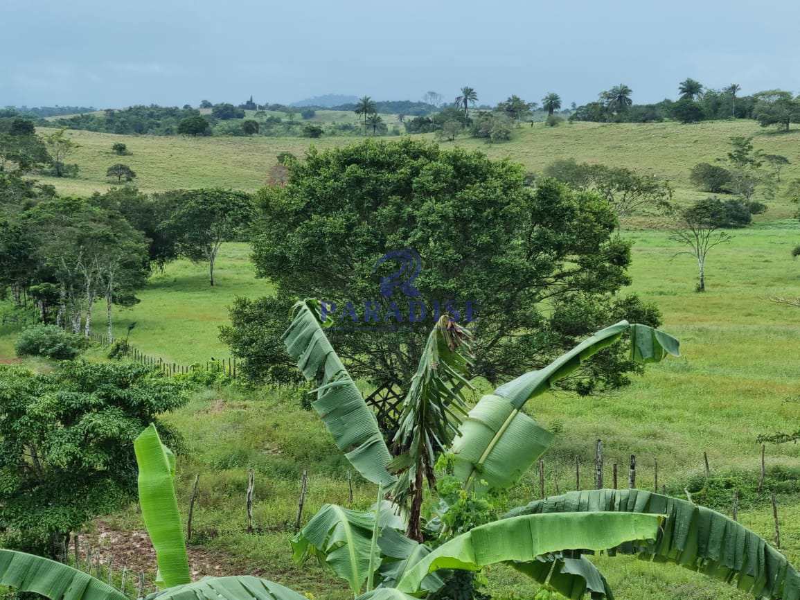 Fazenda à venda, 800000m² - Foto 11