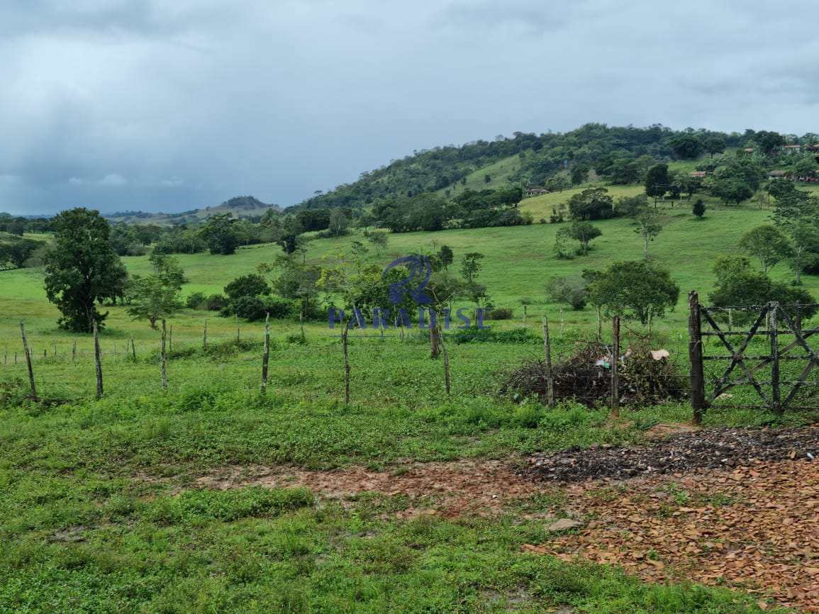 Fazenda-Sítio-Chácara, 80 hectares - Foto 1