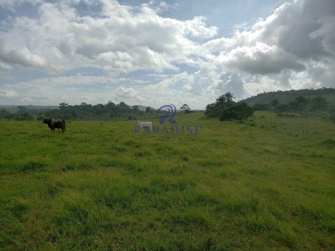 Fazenda à venda, 800000m² - Foto 13