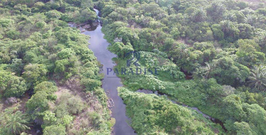 Fazenda à venda, 1010000m² - Foto 10