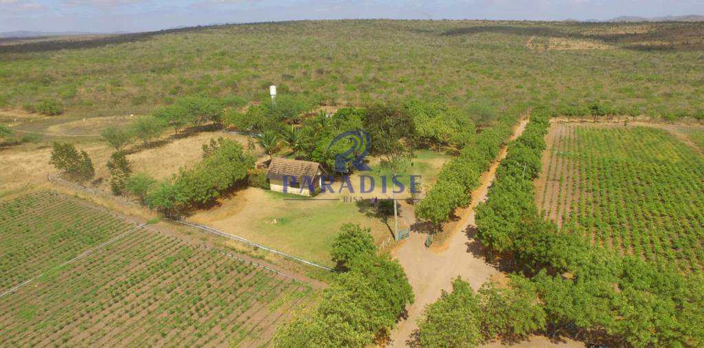 Fazenda à venda, 1010000m² - Foto 12