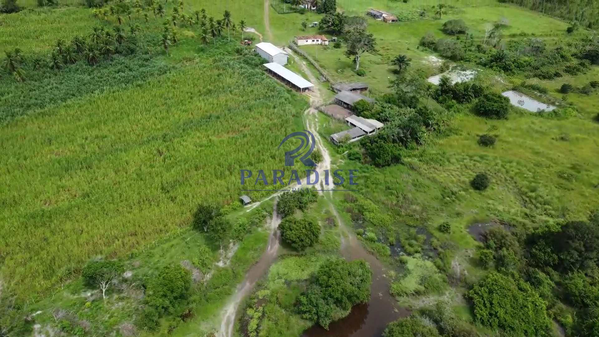 Fazenda-Sítio-Chácara, 196 hectares - Foto 1