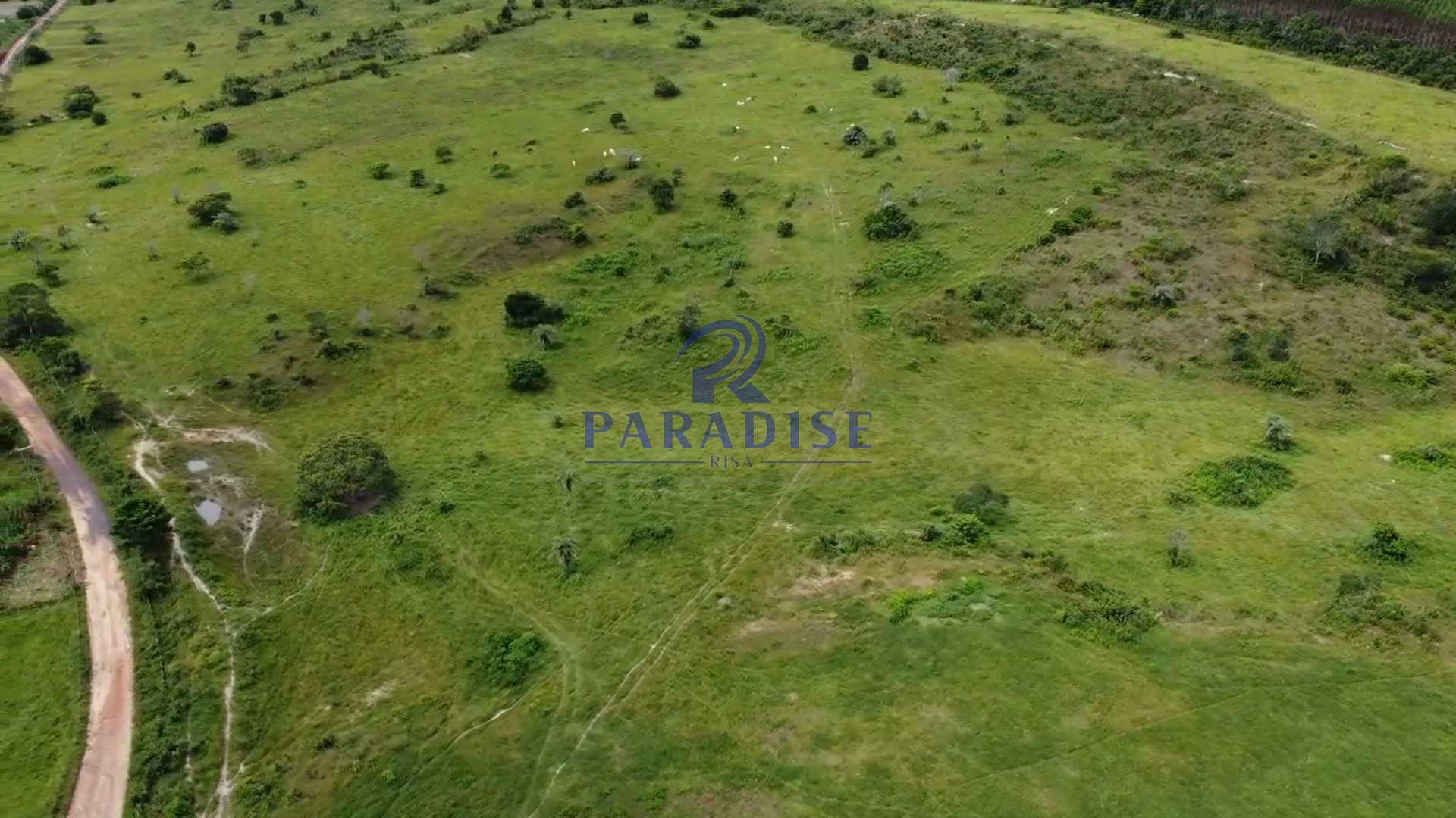 Fazenda à venda, 1960000m² - Foto 12