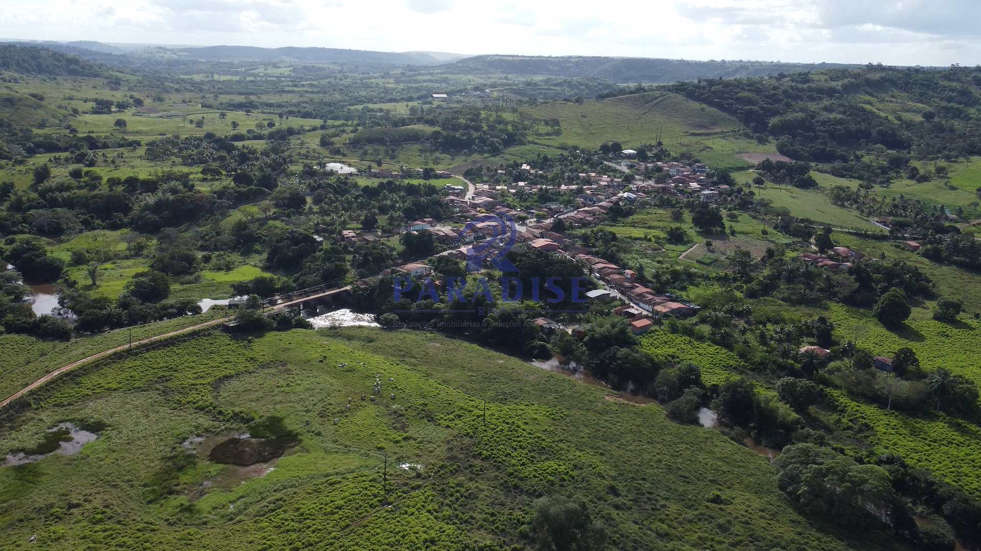 Fazenda-Sítio-Chácara, 225 hectares - Foto 1