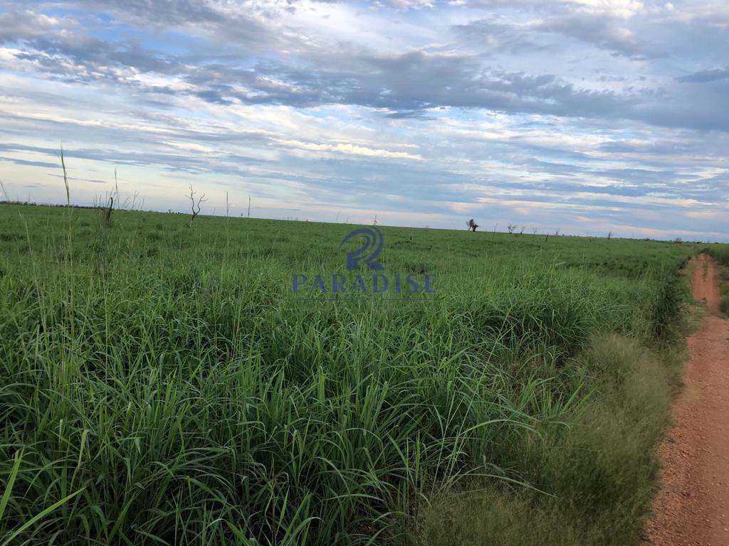 Fazenda à venda, 15000000m² - Foto 8