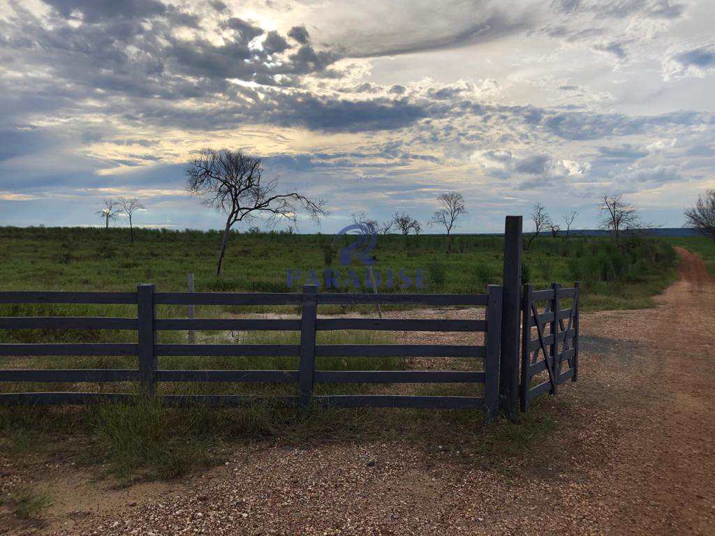 Fazenda à venda, 15000000m² - Foto 12