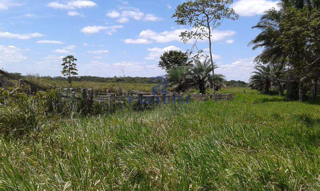 Fazenda à venda, 1742400m² - Foto 9