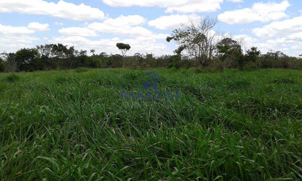 Fazenda à venda, 1742400m² - Foto 6