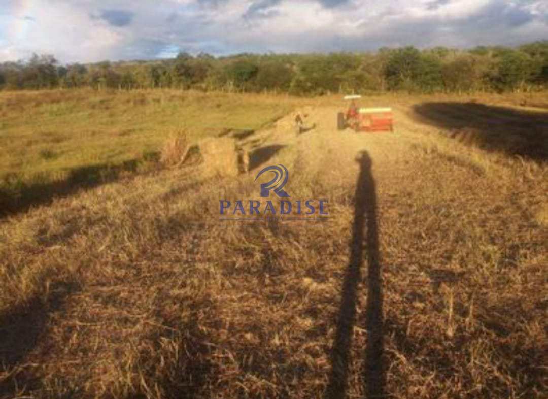 Fazenda à venda, 2350000m² - Foto 5