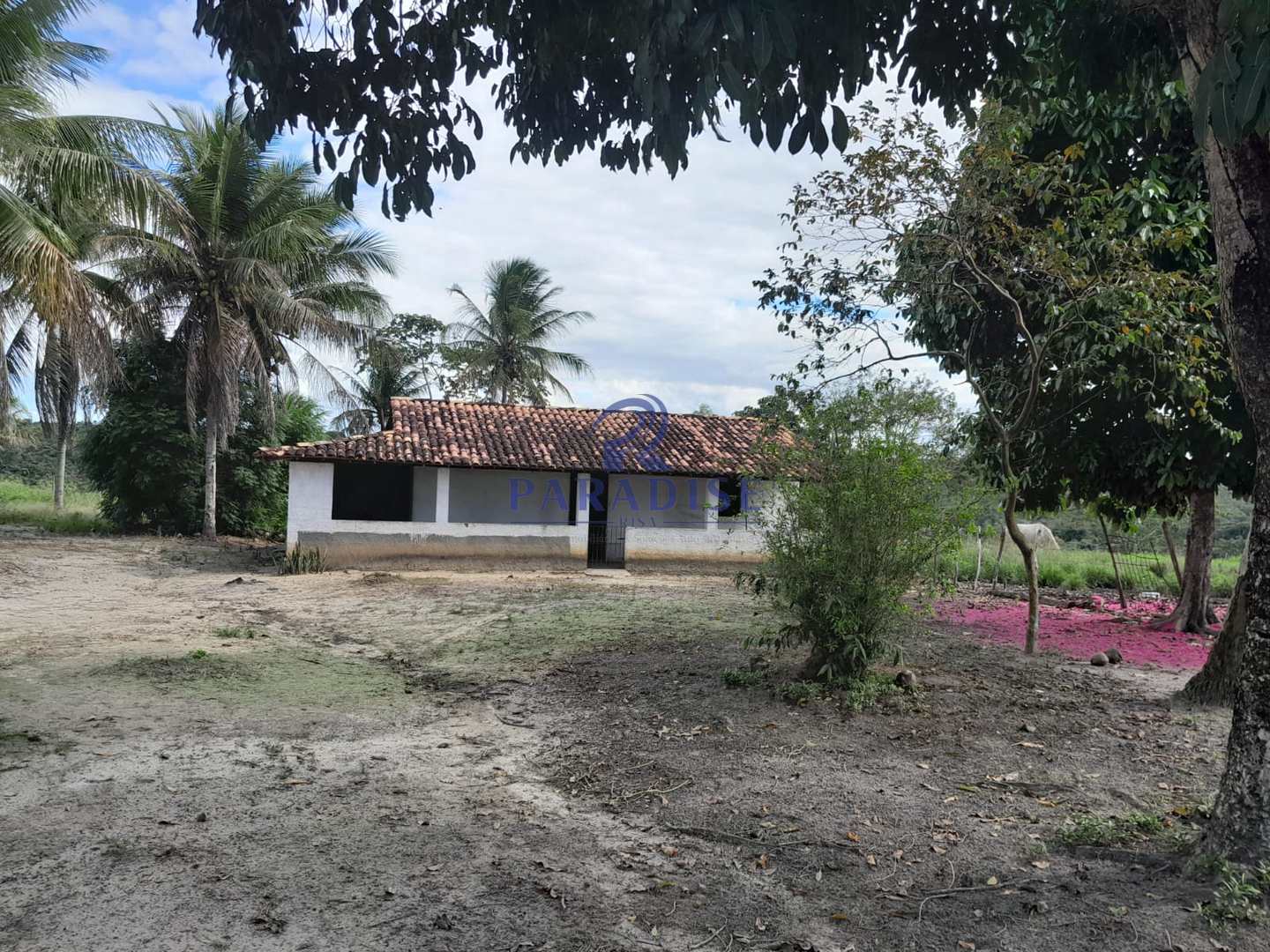 Fazenda, 77 hectares - Foto 5