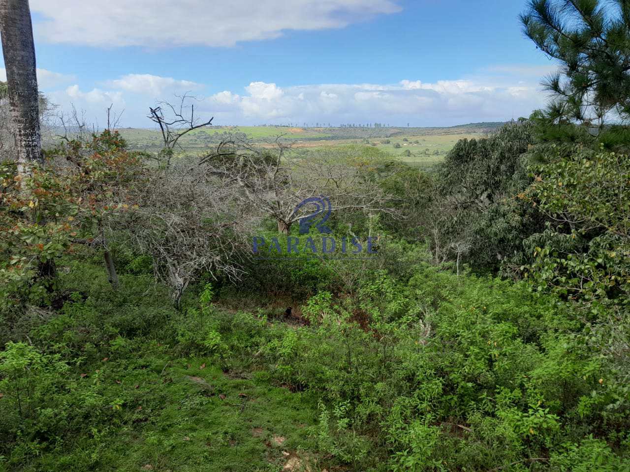 Fazenda à venda, 727000m² - Foto 6