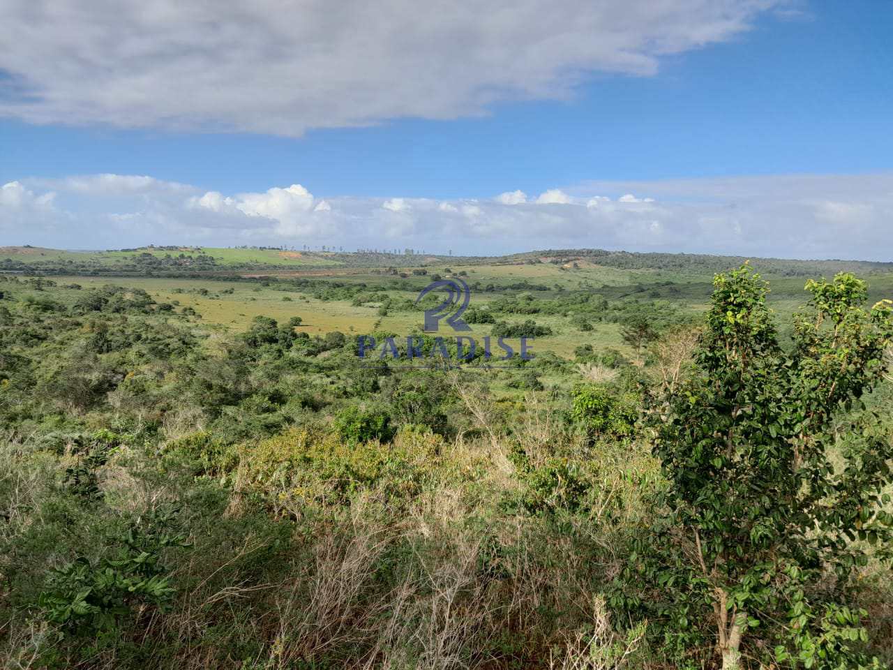 Fazenda à venda, 727000m² - Foto 5