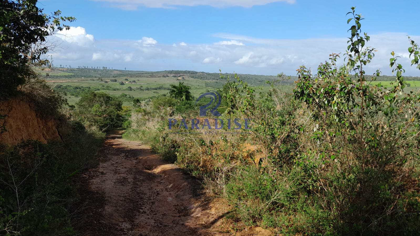 Fazenda à venda, 727000m² - Foto 12