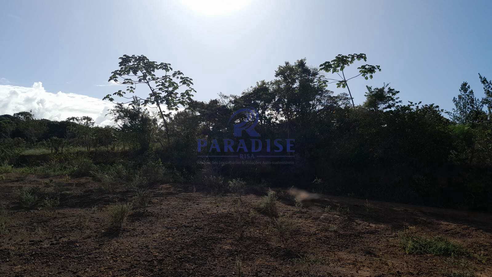 Fazenda à venda, 727000m² - Foto 10