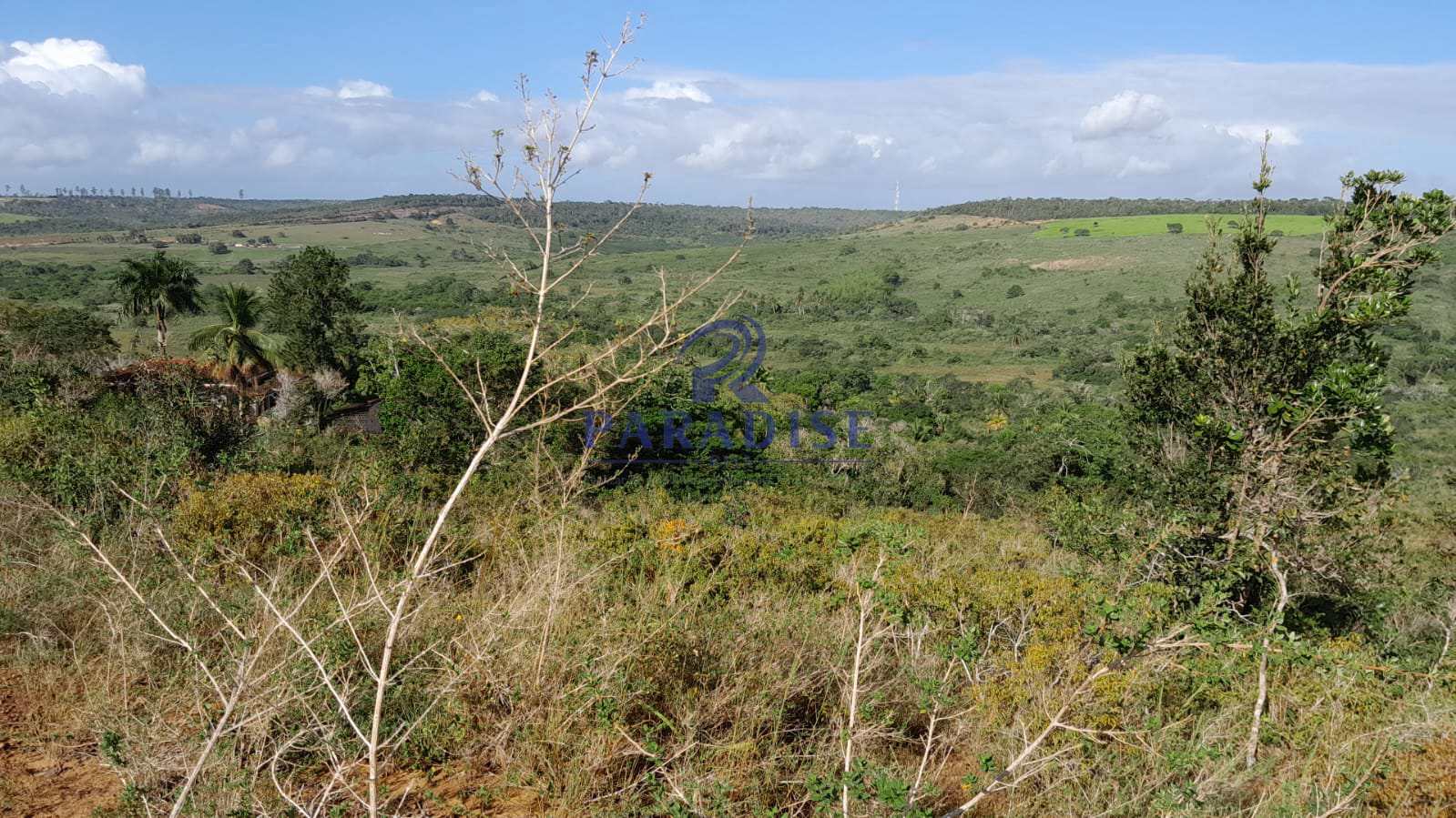 Fazenda à venda, 727000m² - Foto 11