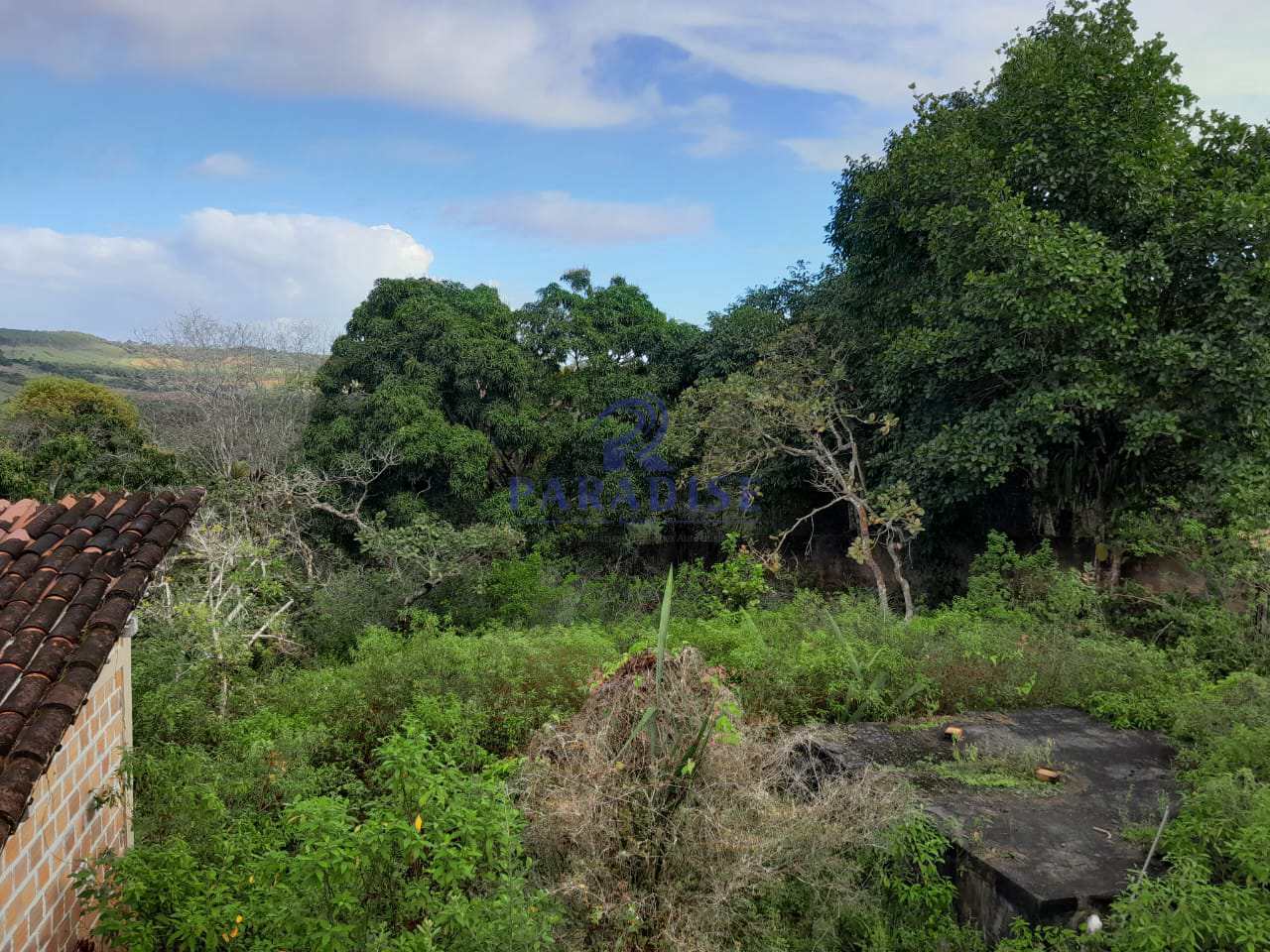 Fazenda à venda, 727000m² - Foto 20