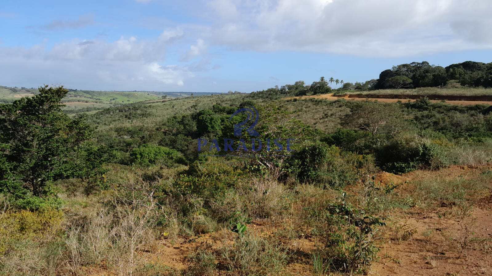 Fazenda à venda, 727000m² - Foto 9