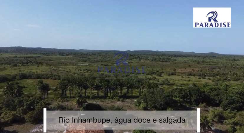 Fazenda-Sítio-Chácara, 185 hectares - Foto 4