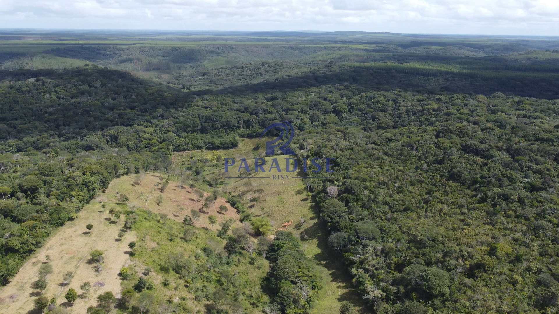 Fazenda à venda, 156000m² - Foto 6