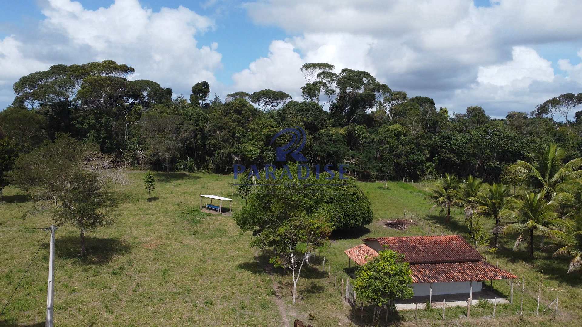 Fazenda à venda, 156000m² - Foto 15