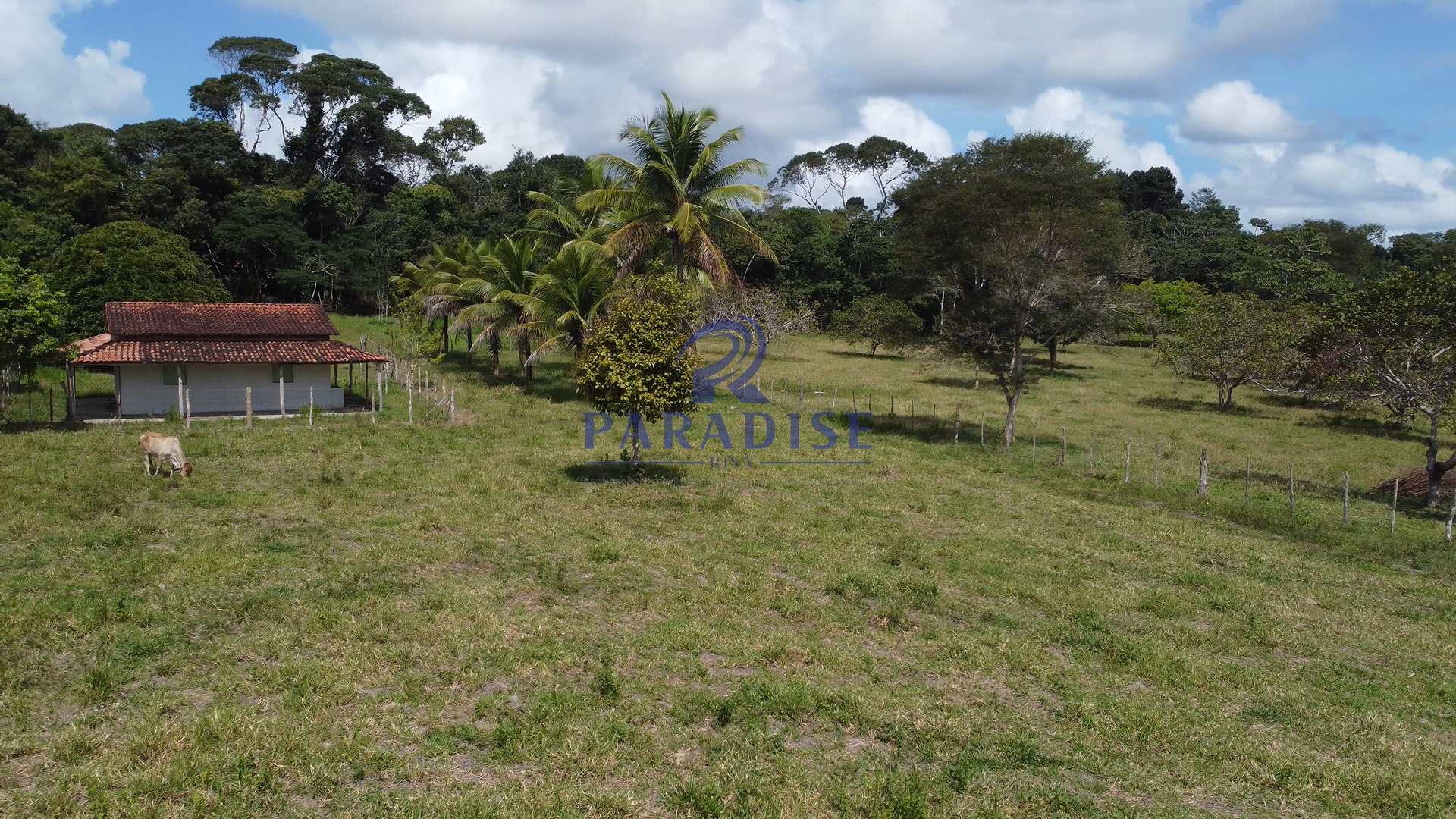 Fazenda à venda, 156000m² - Foto 13