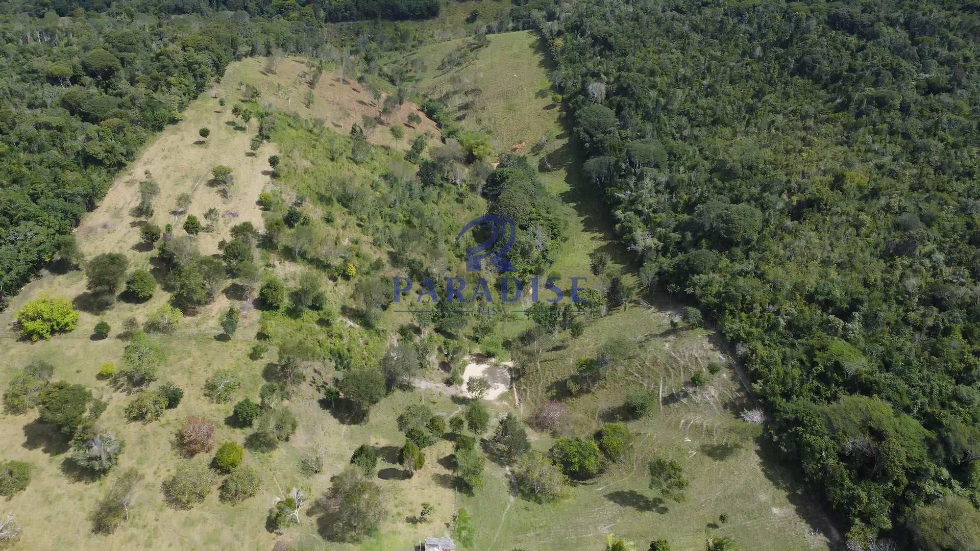 Fazenda à venda, 156000m² - Foto 11