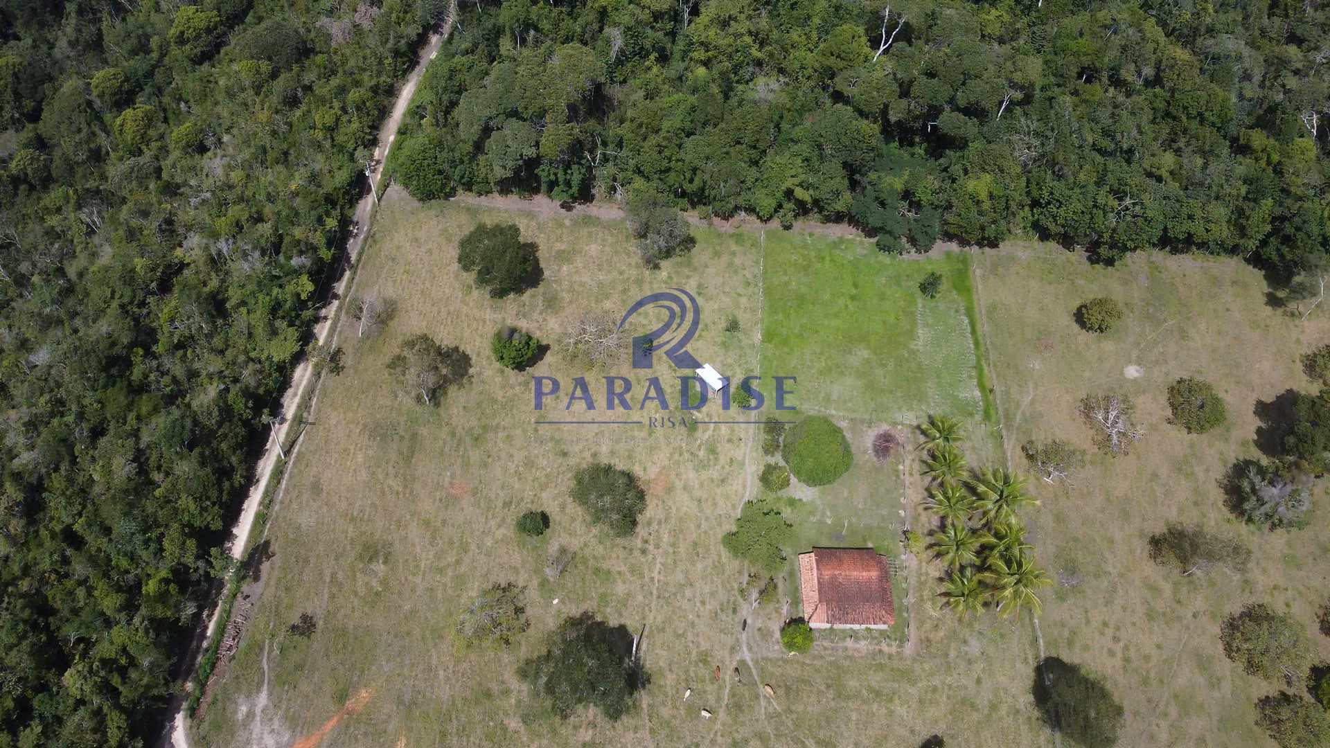 Fazenda à venda, 156000m² - Foto 8