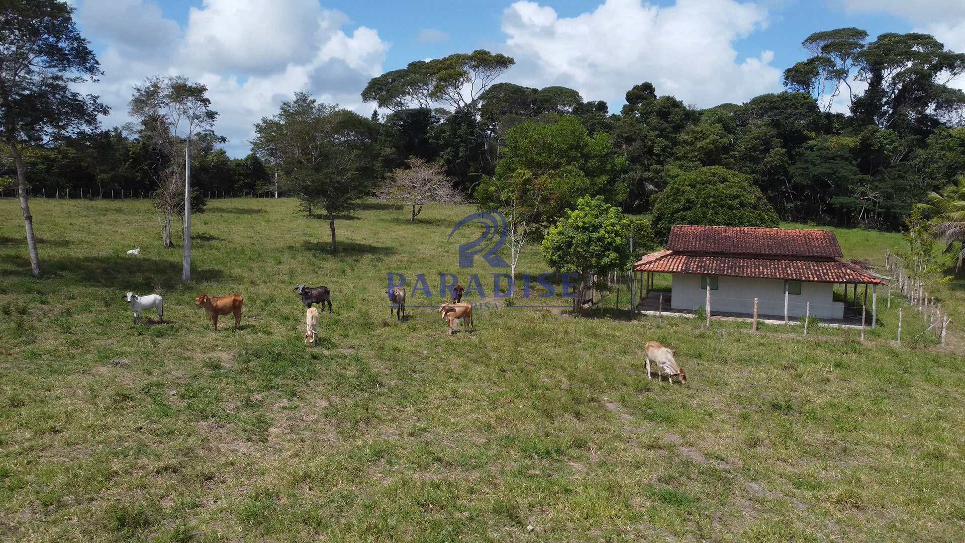 Fazenda à venda, 156000m² - Foto 14