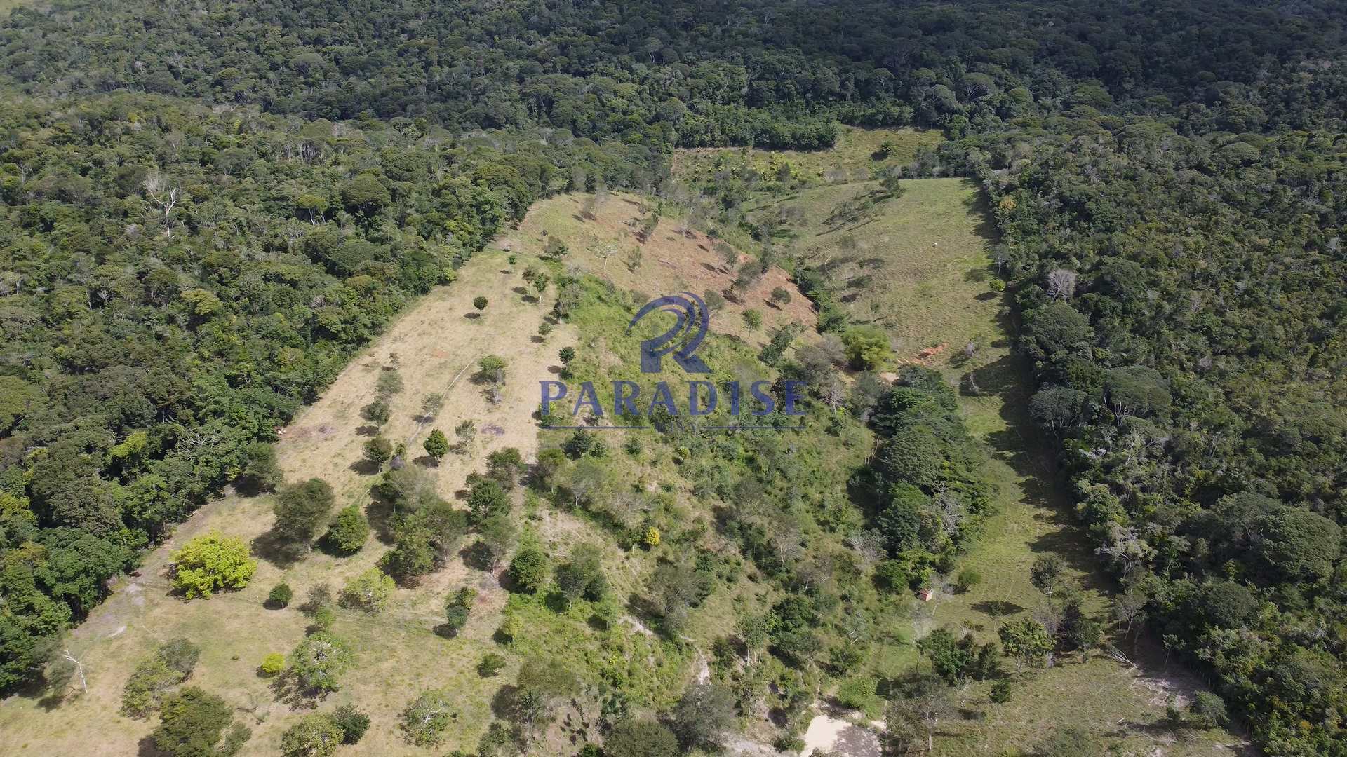 Fazenda à venda, 156000m² - Foto 10