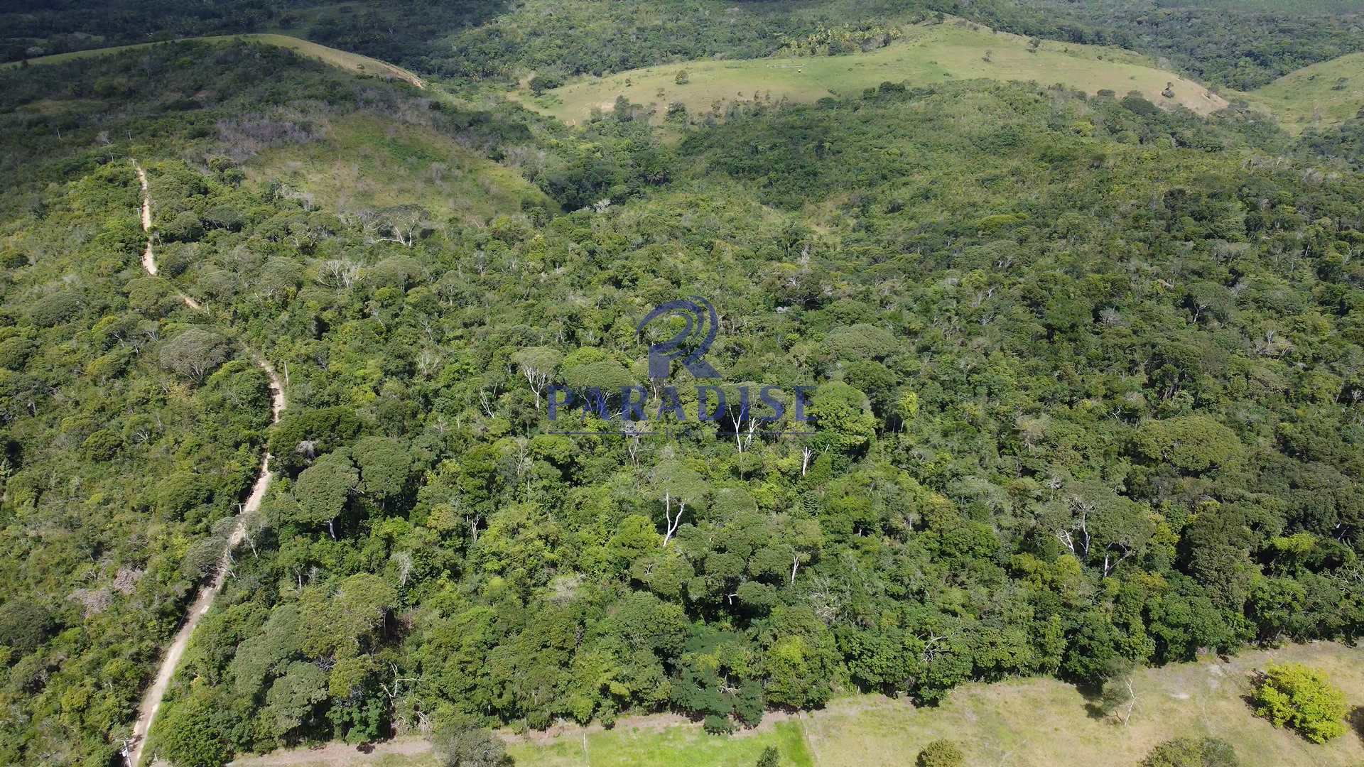 Fazenda à venda, 156000m² - Foto 9