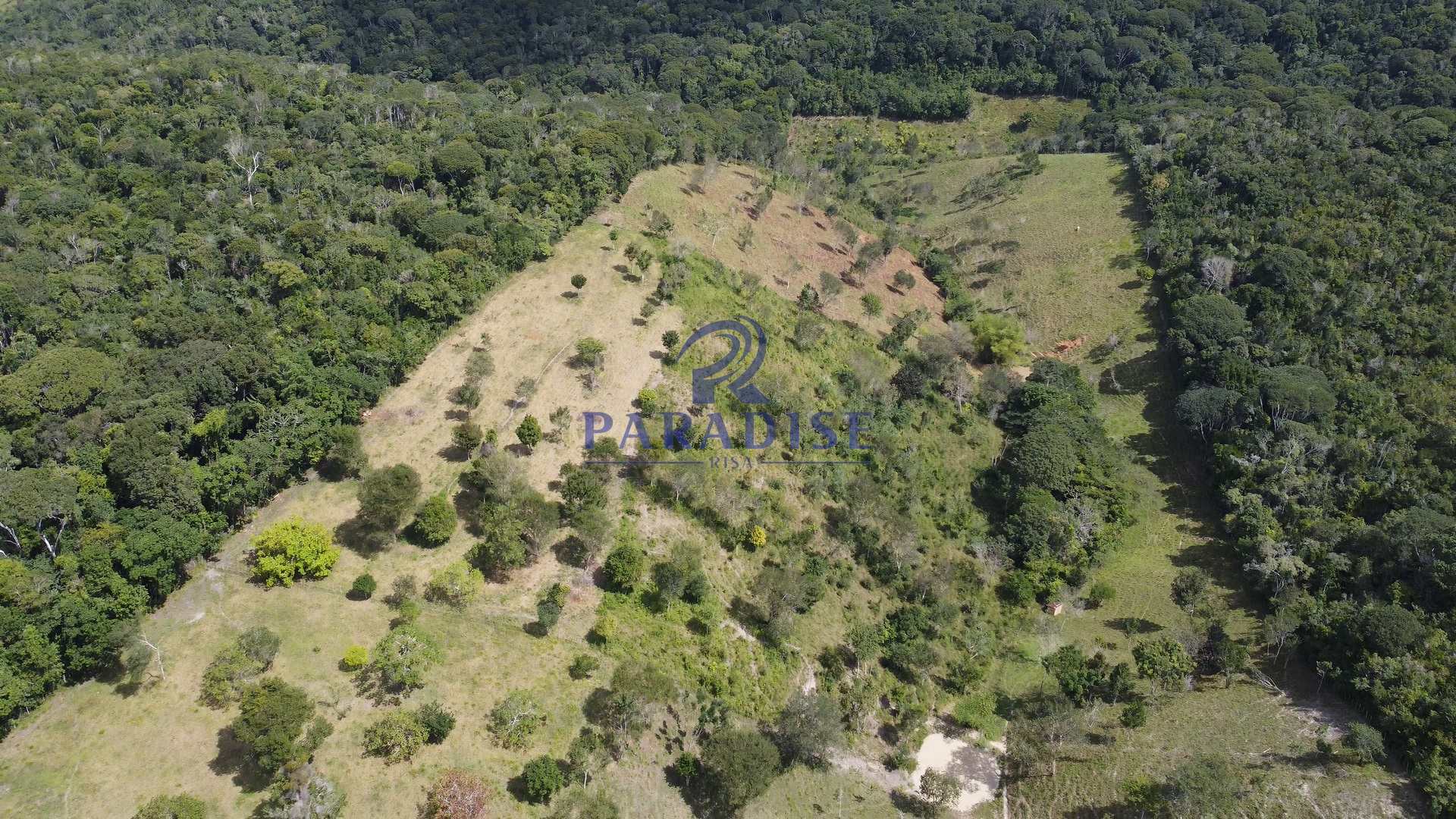 Fazenda à venda, 156000m² - Foto 7